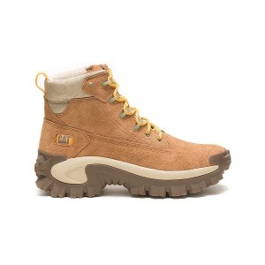 Caterpillar Intruder Ply Men's Boots Brown | 485723-QPF